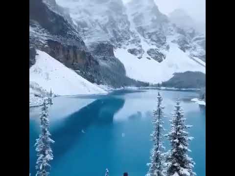 هو في قلبي الرجل الأعظم محمد صلى الله عليه وسلم