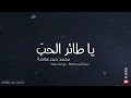 يا طائر الحب من أجمل الأغاني