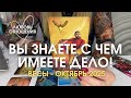 ВЕСЫ Любовь/Отношения : ВЫ ЗНАЕТЕ С ЧЕМ ИМЕЕТЕ ДЕЛО! | Октябрь 2025 таро прогноз