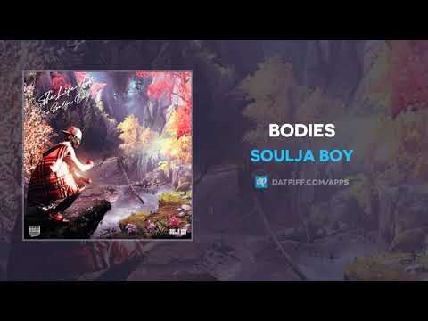 Bodies