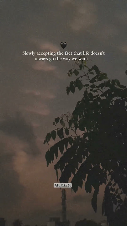 Life Lesson 🤍 Full Screen HD WhatsApp Status Tamil 🤍  #pakki_edits_01