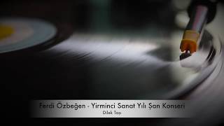 Ferdi Özbeğen - Dilek Taşı ( 20.Sanat Yılı Şan Konseri Plak Kaydı ) Resimi