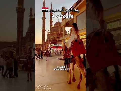 مصريه و افتخر و بكره ده أهم يوم في حياة كل مصري