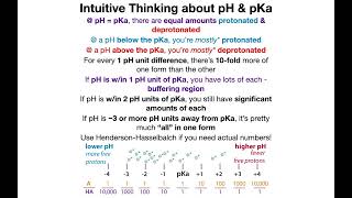 Quick term talk: pH, pKa, pI (isoelectric point), pKR, and acidic vs. basic amino acids