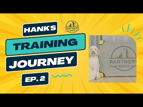 Hank: Episode 2