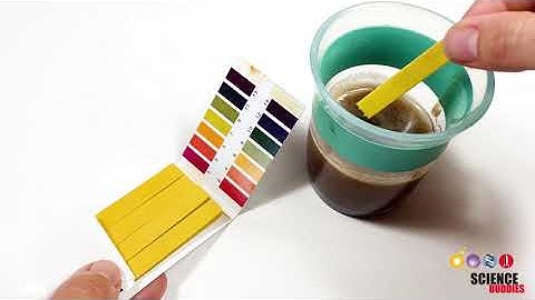 The Scientific Method: Steps and Examples