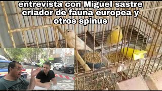 Entrevista con Miguel Sastre criador de espinus y fauna europea