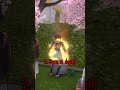 Most Painful Deaths Most Painful Deaths