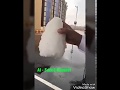 تساقط حبات برد عملاقة بالمدينة المنورة