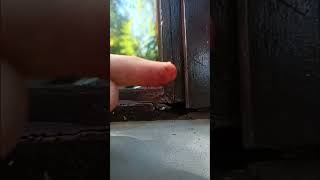 #carpentry #wood #windows #water #damage #renovation #repair #inspection #fault #johannesburg