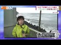 【ど根性】台風負ケヌ ヤシの木「ヤッシー」 SNSで話題！？