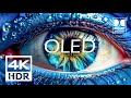 Stunning OLED Demo 4K HDR 60FPS - Dolby Vision