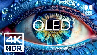 Stunning OLED Demo 4K HDR 60FPS