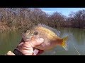 Fishing For JUMBO Bluegill and Shellcracker With Squirrel Tail Jigs