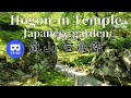 京都 嵐山 宝厳院の庭園 Japan Kyoto Arashiyma Hōgon-in Temple Japanese garden