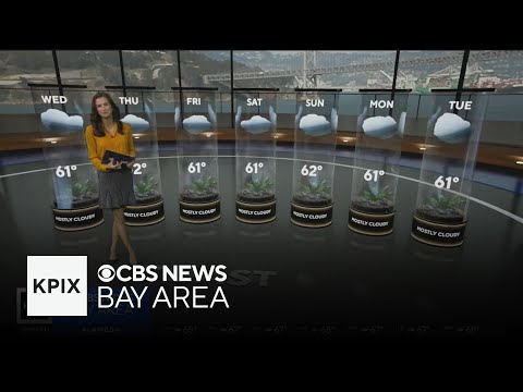 First Alert Weather