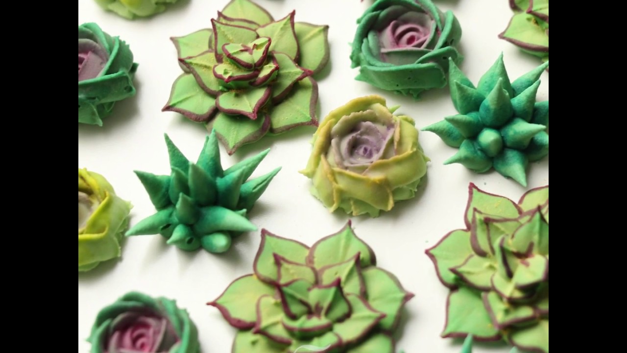 Royal Icing Succulents And Cookie Cup Tutorial Sweetambs