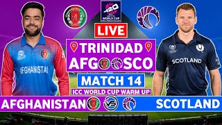 ICC T20 World Cup Live: Afghanistan vs Scotland Live Scores | AFG vs SCO Live Scores & Commentary