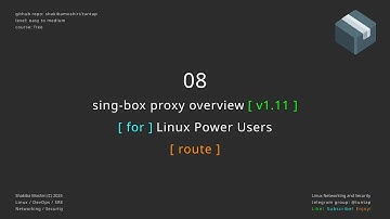 08 sing-box proxy overview - route object