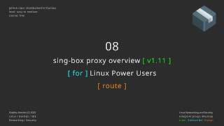 08 sing-box proxy overview - route object