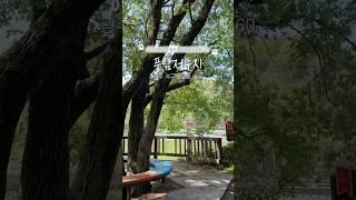 호수공원 영상