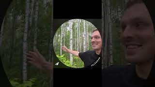 Отчего так в России берёзки шумят! #learnrussian #russianlanguage