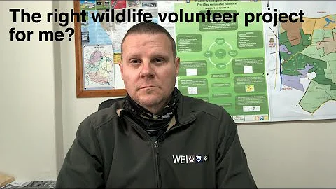 How to choose the right wildlife volunteer project in Africa?