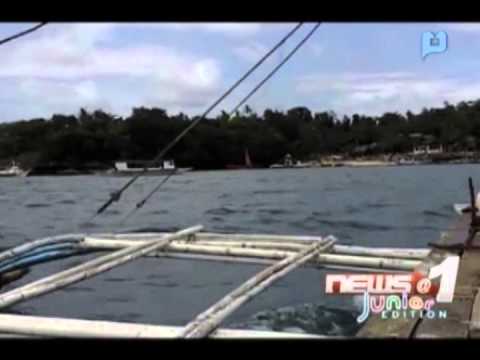 philippines-and-malaysia,-the-best-scuba-diving-destinations-in-asia