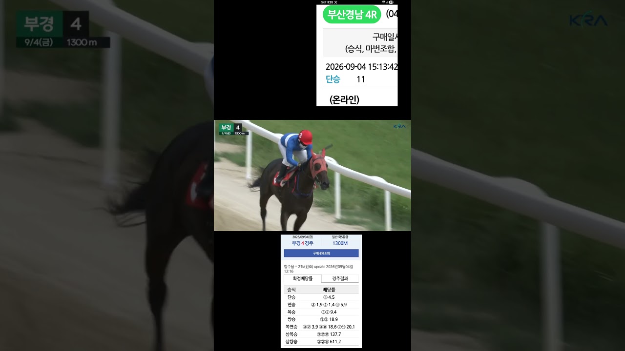 또2.3착오네 11 놓고 11-2