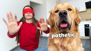 Pretending My Dog Is Invisible | Funny Dog Reaction