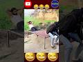 Epic Funny Video 😂😂😂 #funny #viralvideo #comedy #humor #memes #shortsfeed