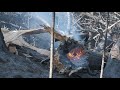 Così è stata uccisa una foresta | RSI Info