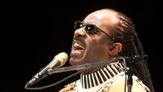 Stevie Wonder - I Just Called To Say I Love You (Remix)