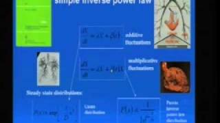 Fractional Calculus and Fractal Dynamics (with some applications)