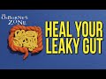 Heal your leaky gut  dr osbornes zone