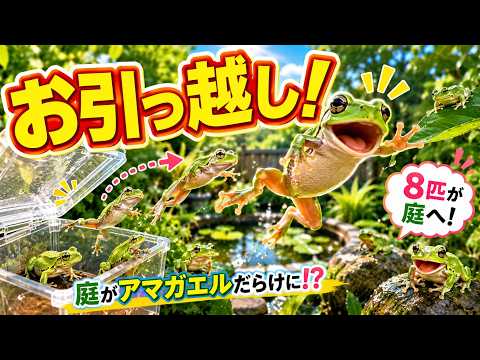 Dreaming of a garden full of tree frogs 🐸 8 frogs move into the