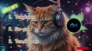Kumpulan lagu gayo. Gayo.mp3 musik gayo