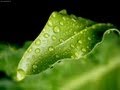 Condensation and Dew Formation Concepts