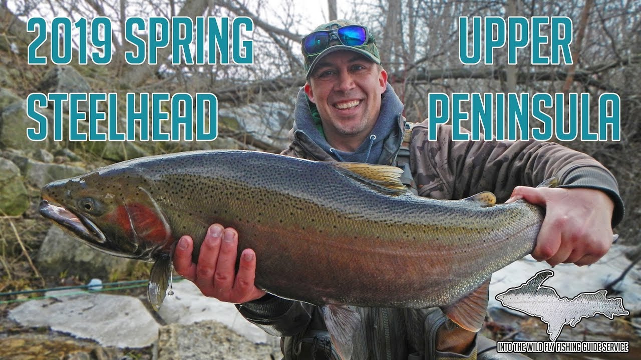 Upper Peninsula Fly Fishing Steelhead Spring 2019 YouTube