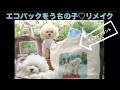 【超簡単リメイク】ラップで愛犬をプリント⁈100均のアイテムのエコバッグをオリジナルデザインにDIY♪