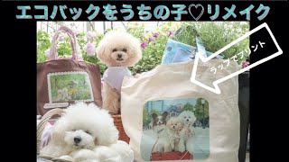 【超簡単リメイク】ラップで愛犬をプリント⁈100均のアイテムのエコバッグをオリジナルデザインにDIY♪