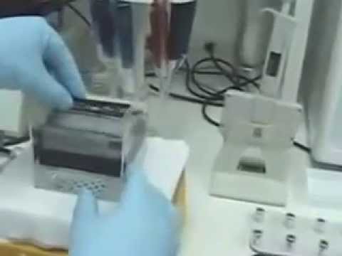 Wash Microarray Substrate Slides Before Centrifugation