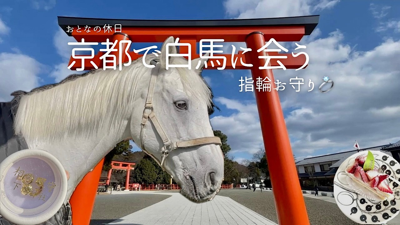 京都ひとり旅｜下鴨神社と上賀茂神社、白馬に会う休日