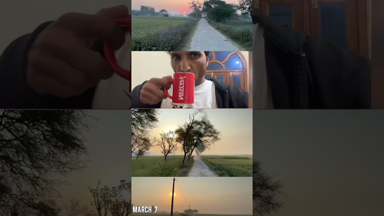 Day59 | Ten thousand steps morning walk