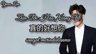 Zhen De Hao Xiang Ni 真的好想你 (sangat merindukanmu) Chen Ya Sen 陈雅森 Lyrics