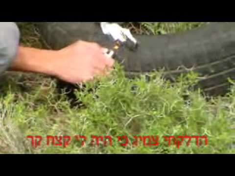 ישיבת בני צבי אדוני השופט 