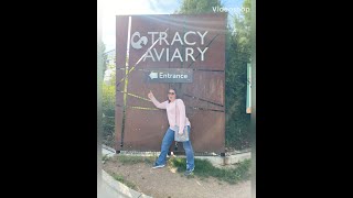 Tracy Aviary