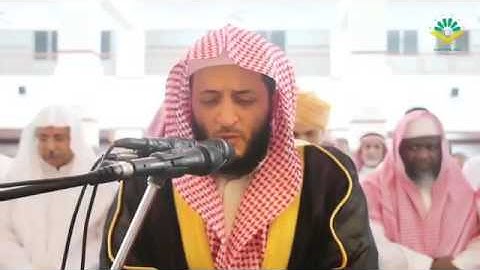 صلاة العشاء للقارئ هاني الرفاعي