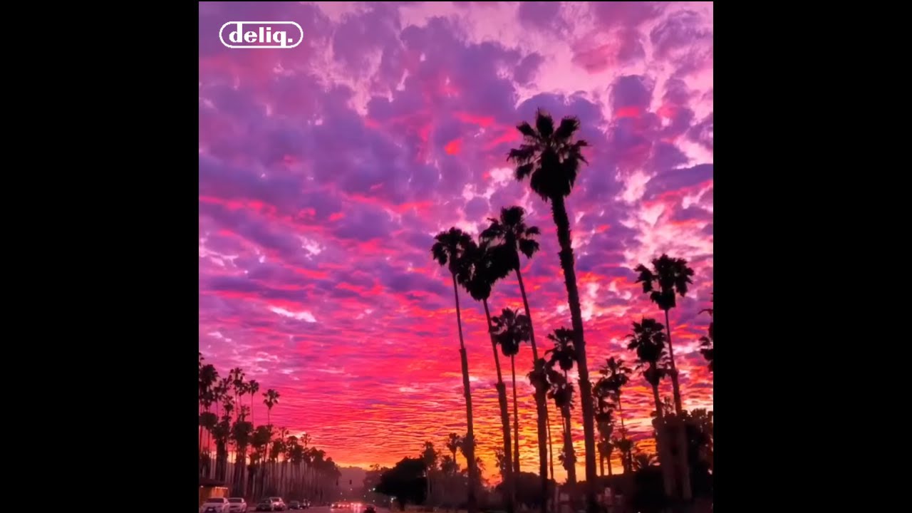 [FREE] Larry June x Wiz Khalifa Type Beat "Pacific Coast"