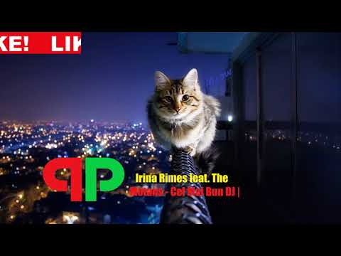 Irina Rimes feat The Motans - Cel Mai Bun DJ🚀| PitcH&Bass Remix|🚀